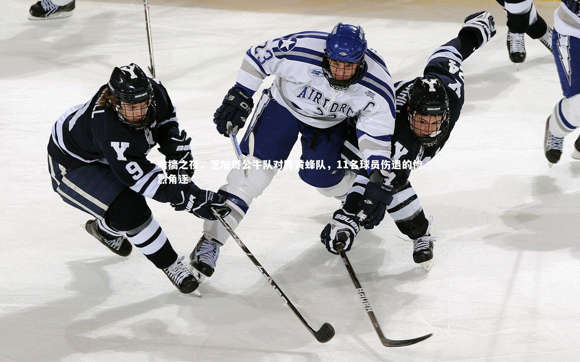 难搞之夜，芝加哥公牛队对阵黄蜂队，11名球员伤退的惨烈角逐
